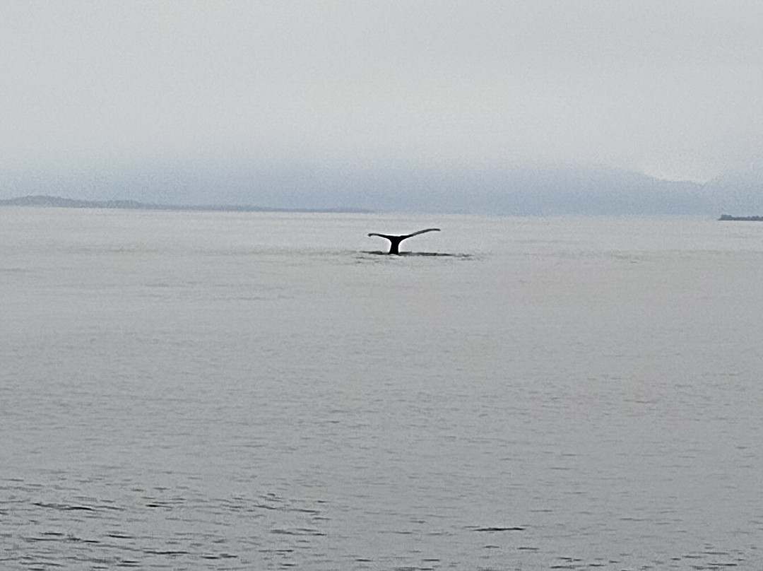 Glacier Wind Charters-胡纳必去景点