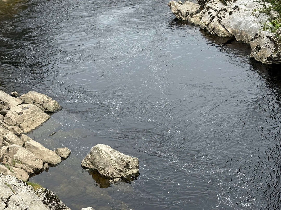 Hoggs 'n' Heifers-High Bentham必去景点