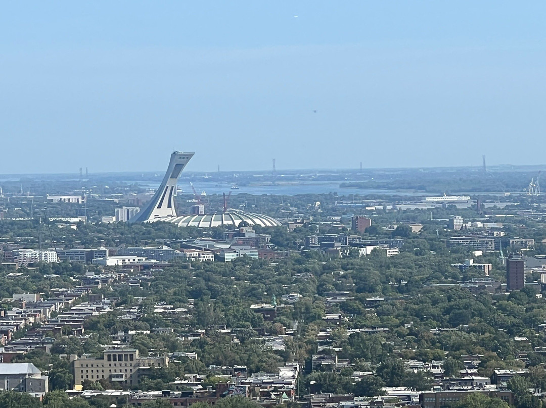 Native Tours-蒙特利尔必去景点