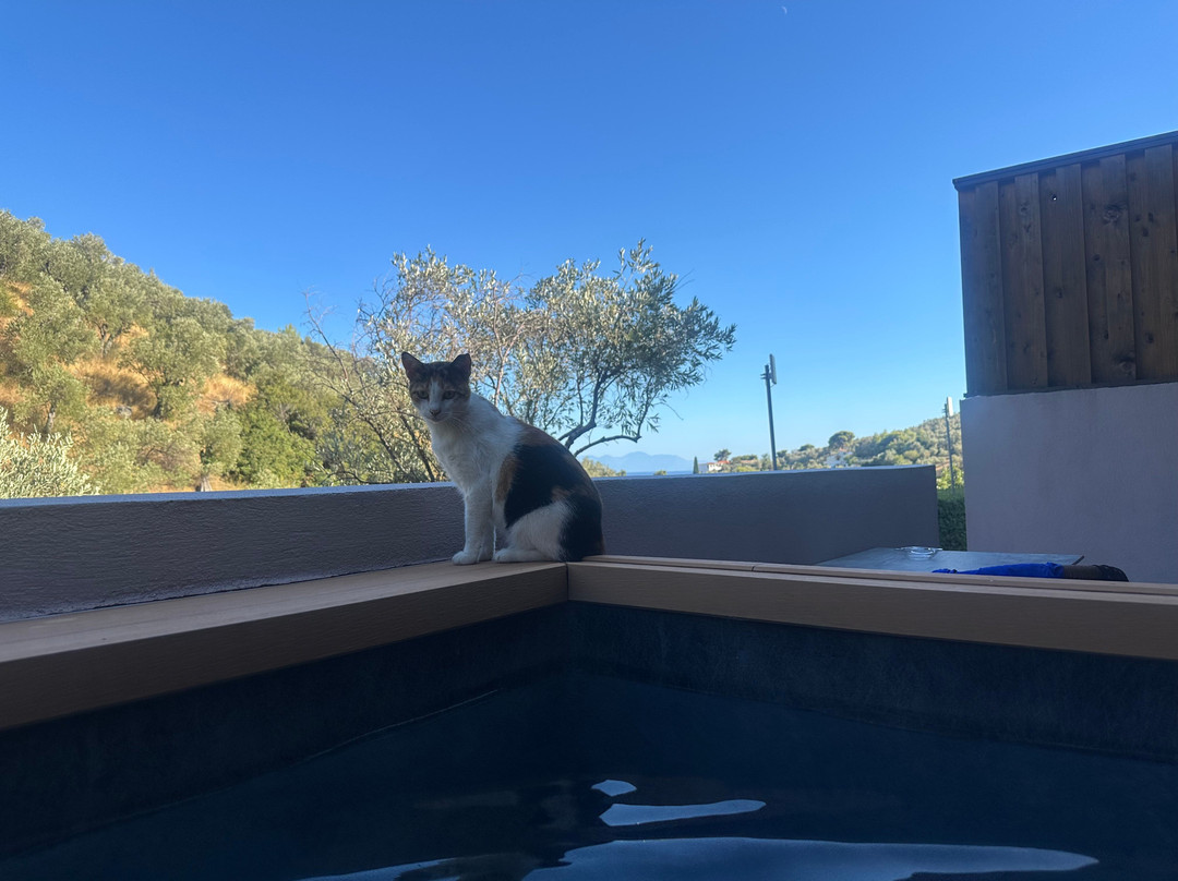 Avaton Hotel-Suites-Villas In Skiathos主图