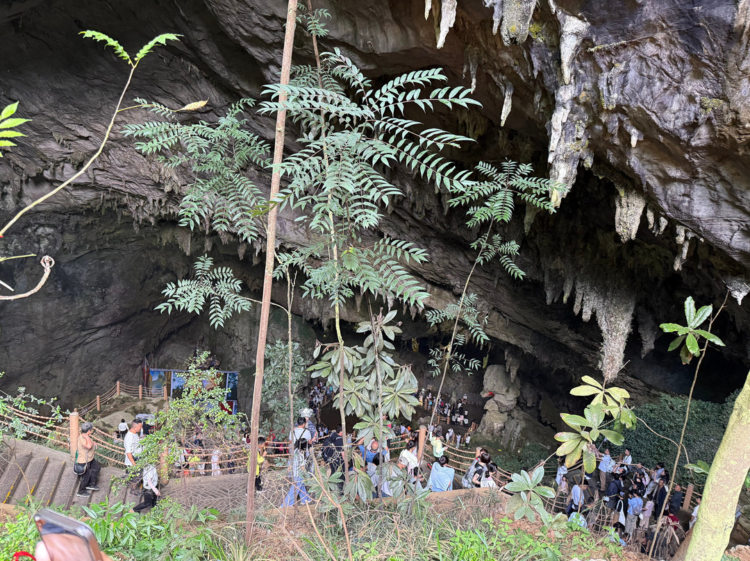 贵州织金洞-织金县必去景点