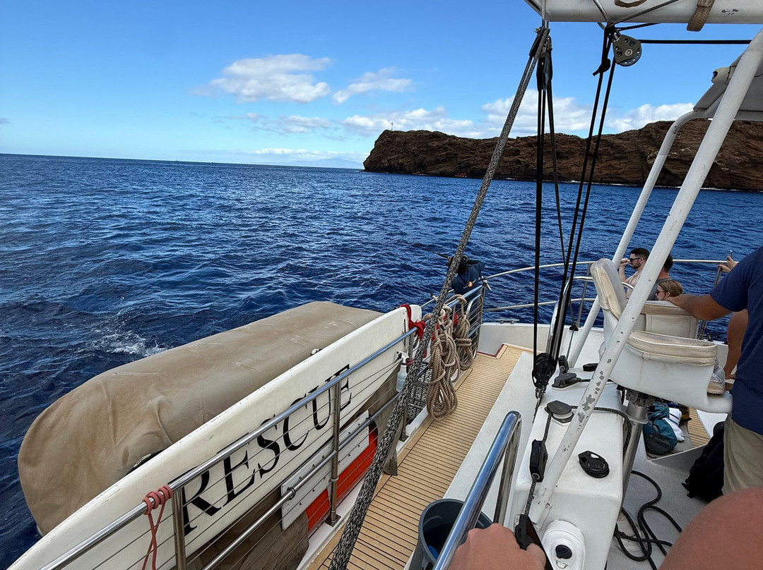 Sail Maui Private Tour-玛阿拉也亚必去景点