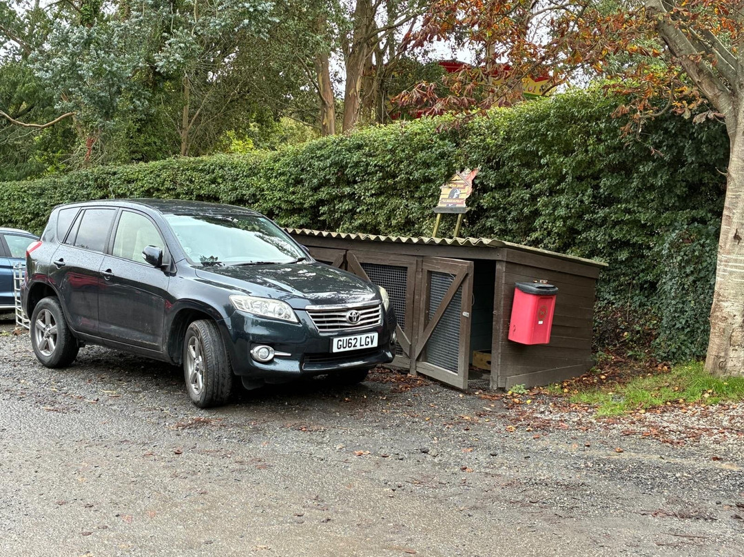 The Big Sheep.-比迪福德必去景点