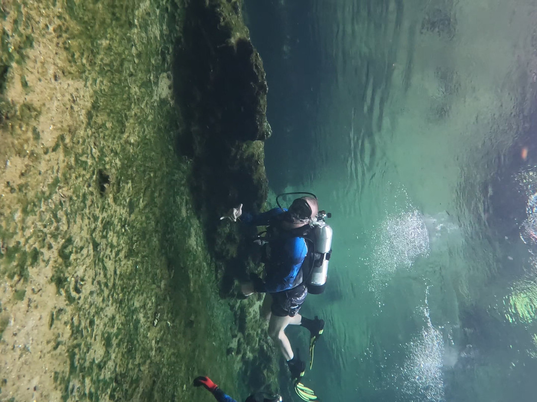 Florida Dive Company-橙县必去景点