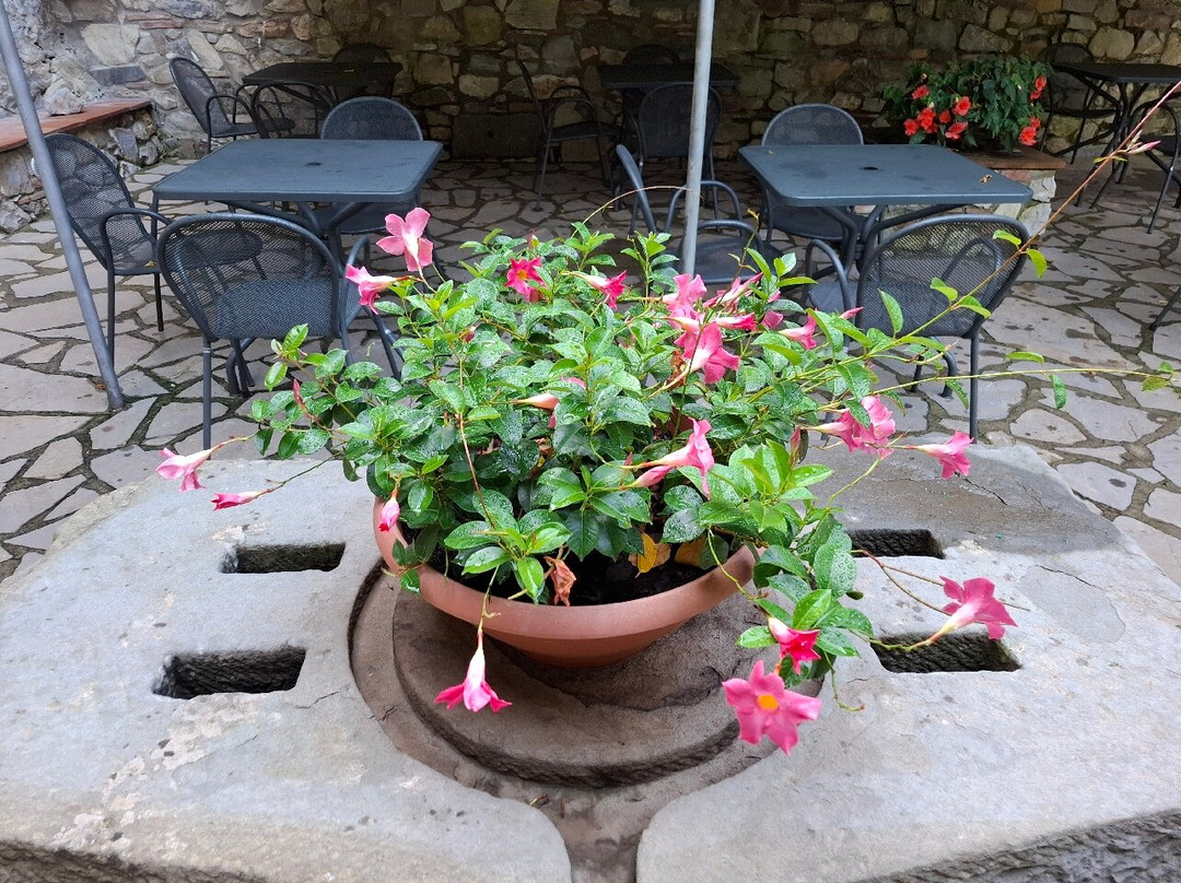 Ultimo Mulino Wellness Country Hotel主图