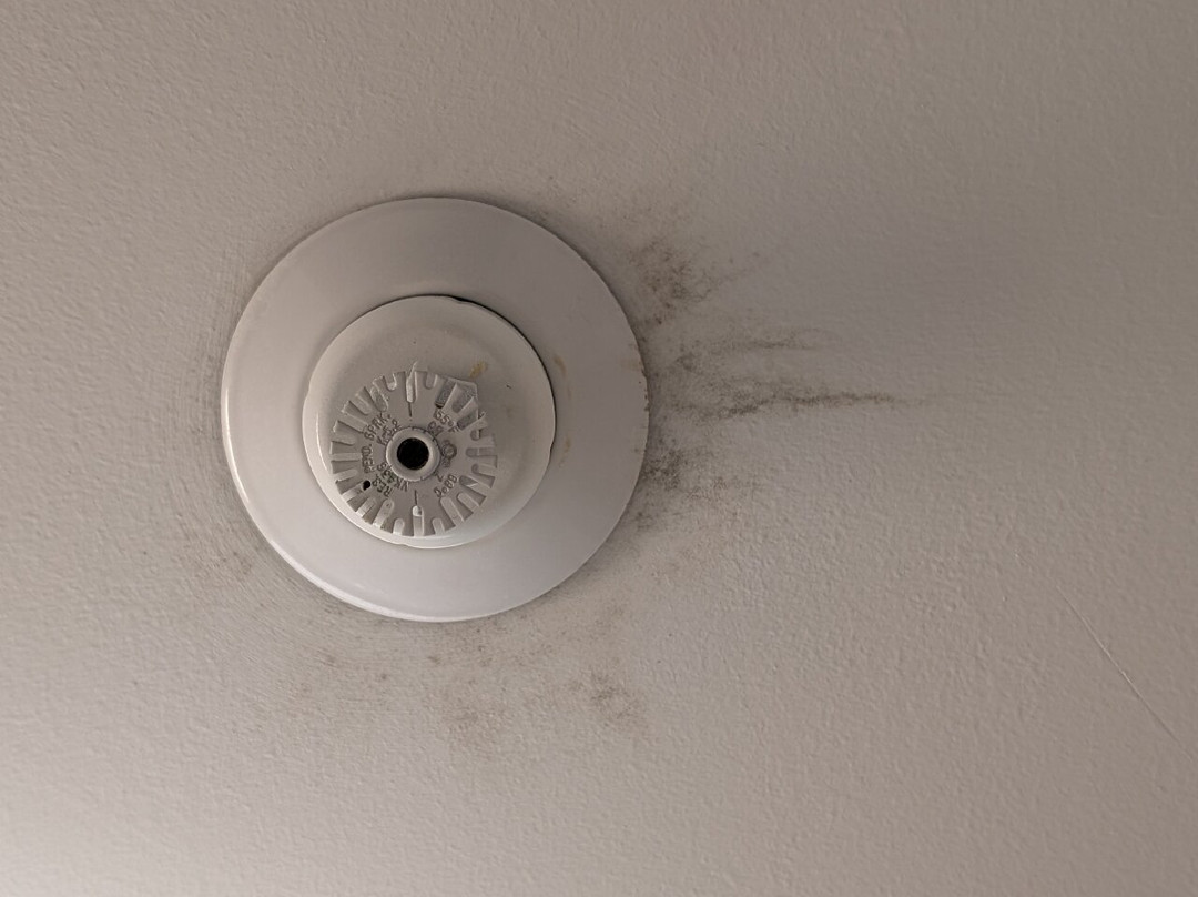 Hampton Inn St. Louis Columbia主图