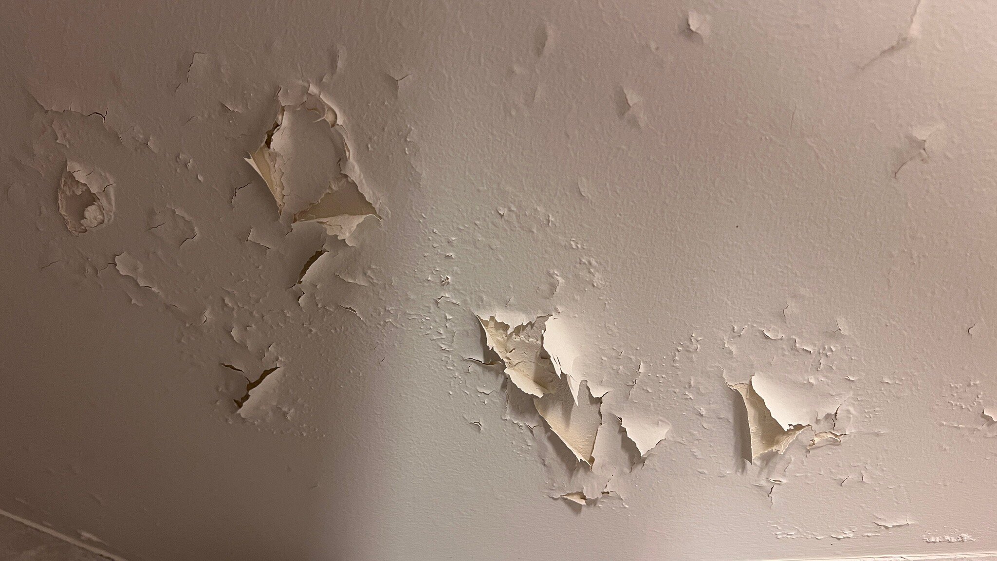 Ibis Styles Bourg en Bresse-官方