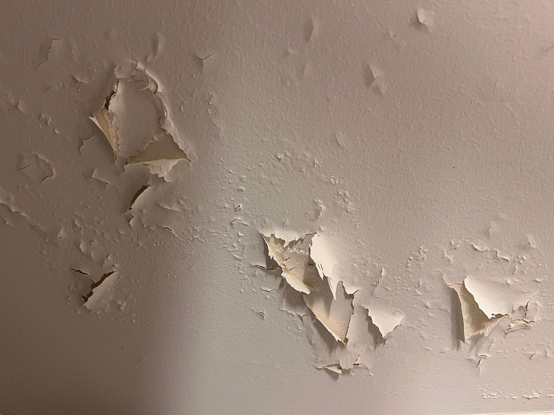 Ibis Styles Bourg en Bresse主图