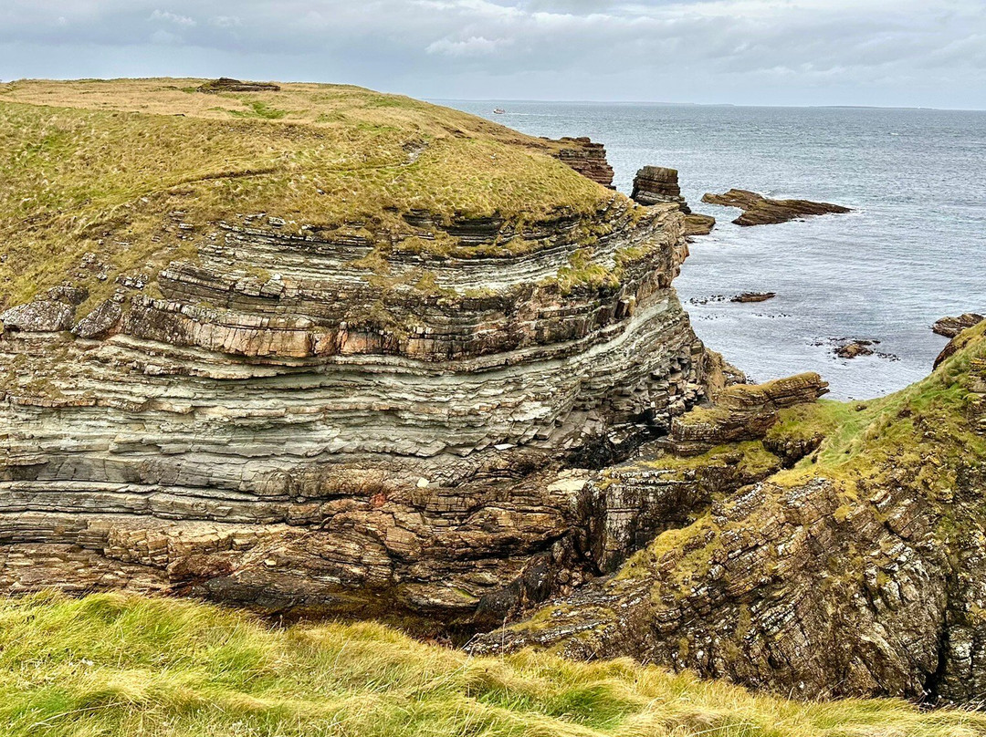 Mull Head Nature Reserve-Deerness必去景点