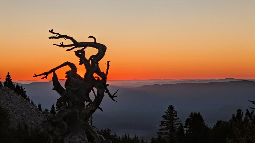 Eagle Crater Lake Inn主图