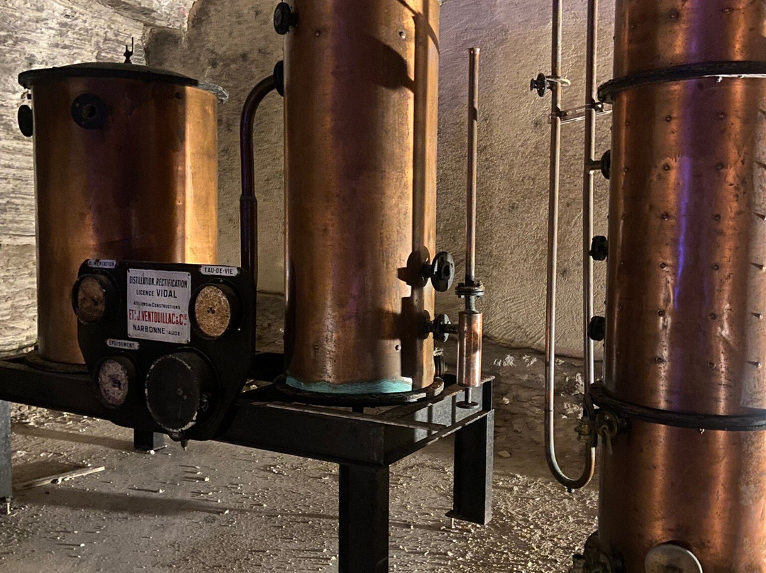 Terra Vinéa-Portel-des-Corbieres必去景点