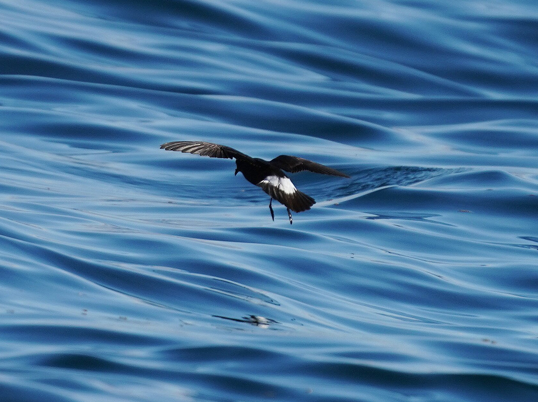 Aquaholics-Portstewart必去景点