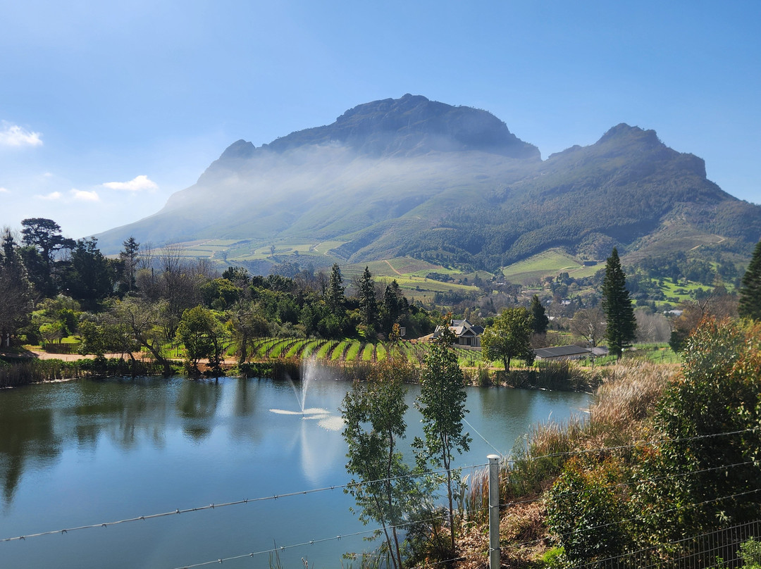 Bike and Hike Day Tours-开普敦中心区必去景点