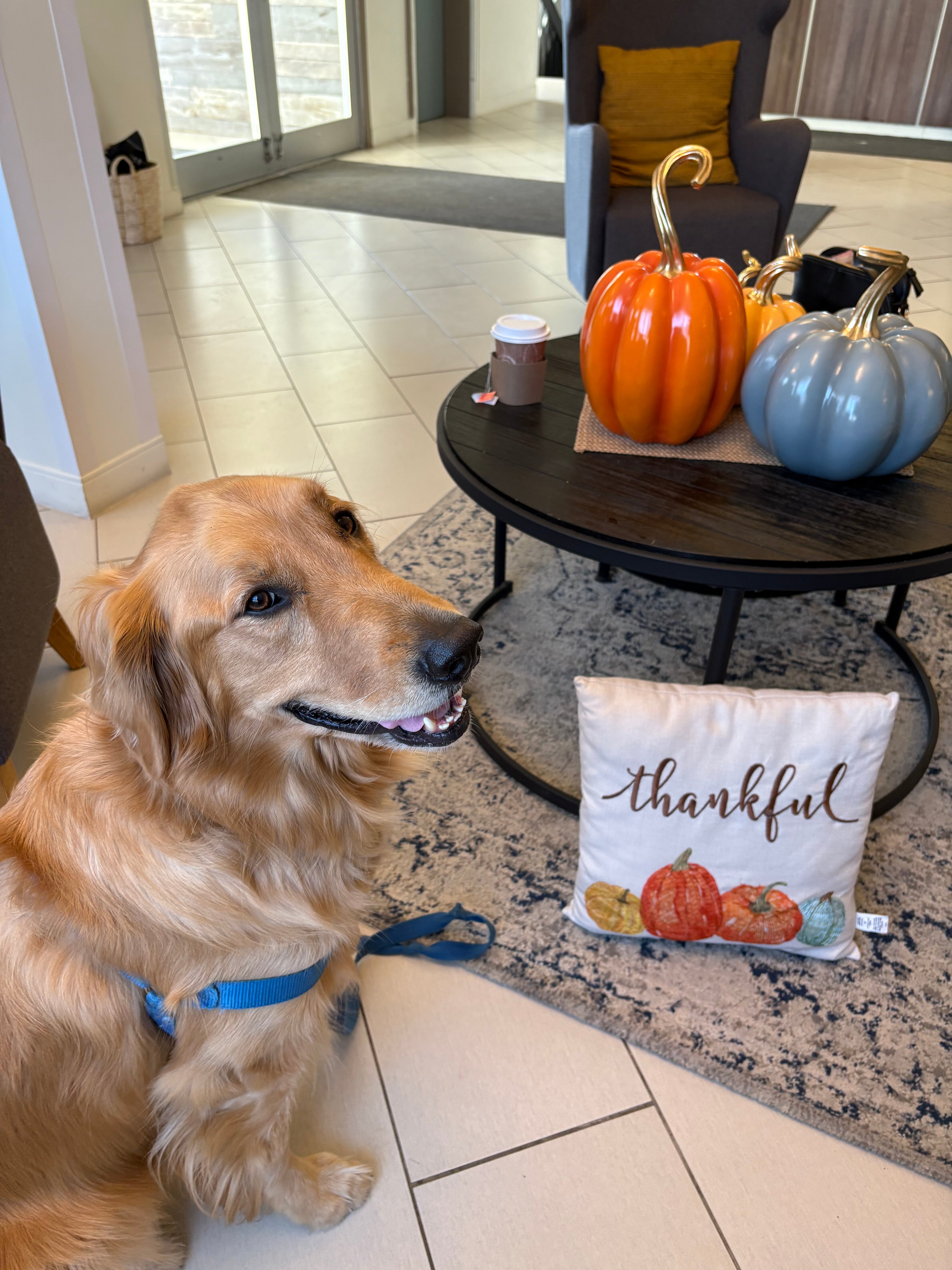 罗德蒙克顿酒店-官方