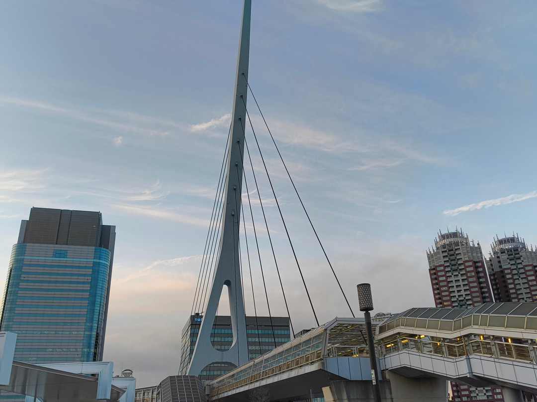 Symbol Promenade Park-Daiba必去景点