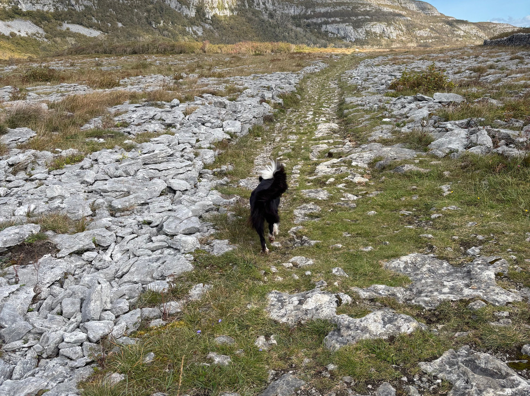 Burren Guided Walks & Hikes-Walking Day Tours-Fanore必去景点