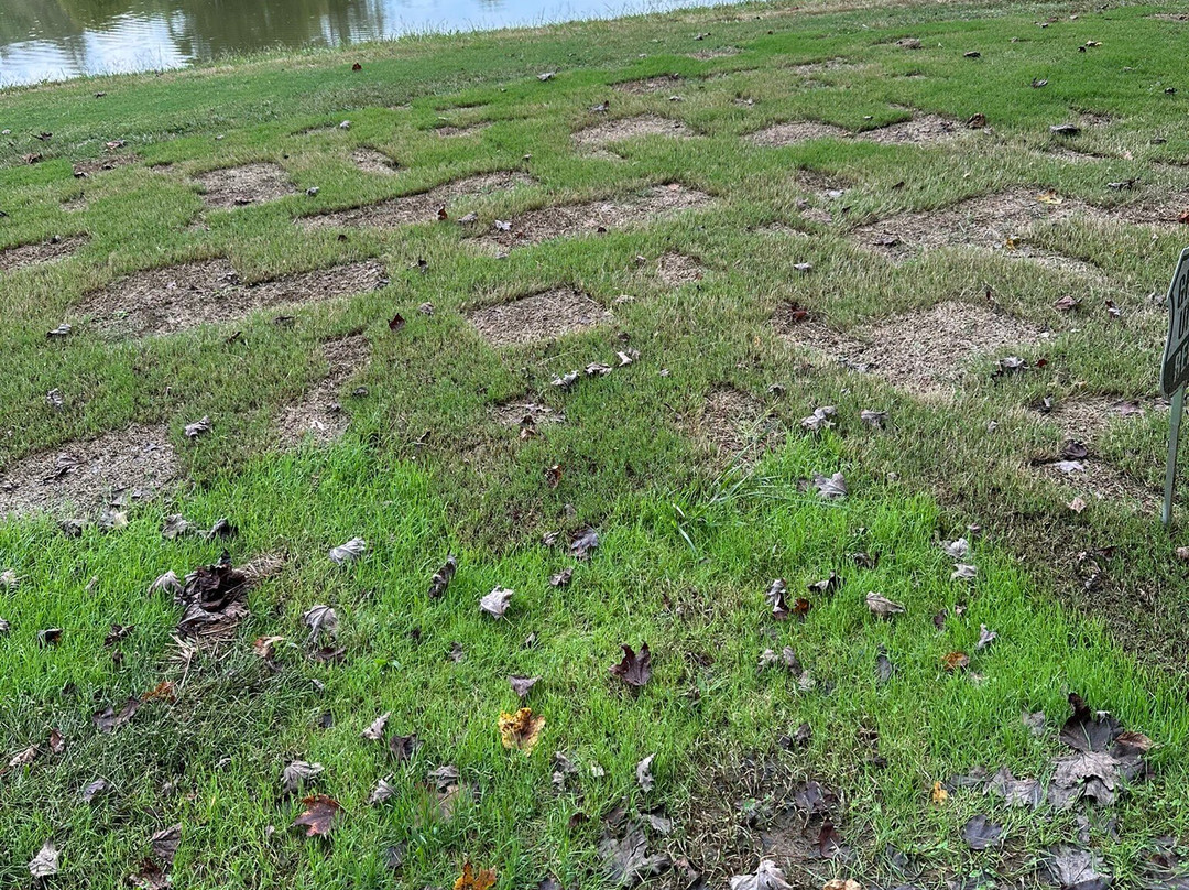 Chatuge Shores Golf Course-Hayesville必去景点