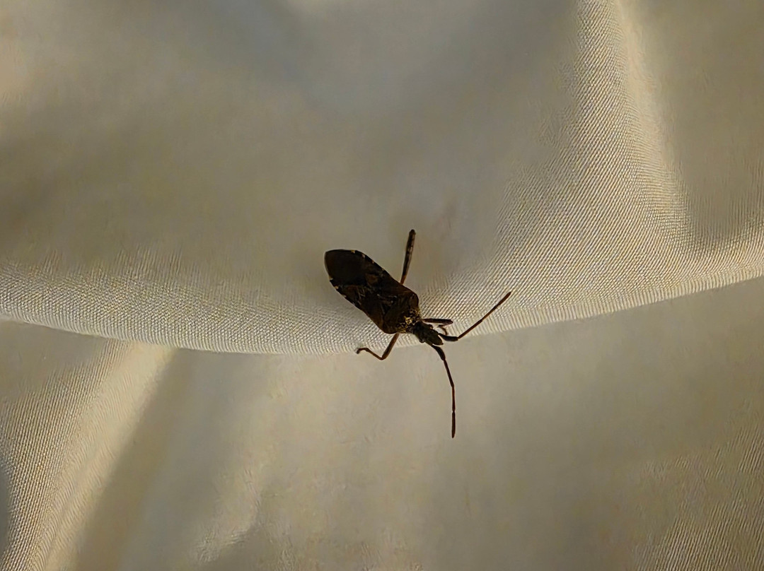 凯富套房酒店主图