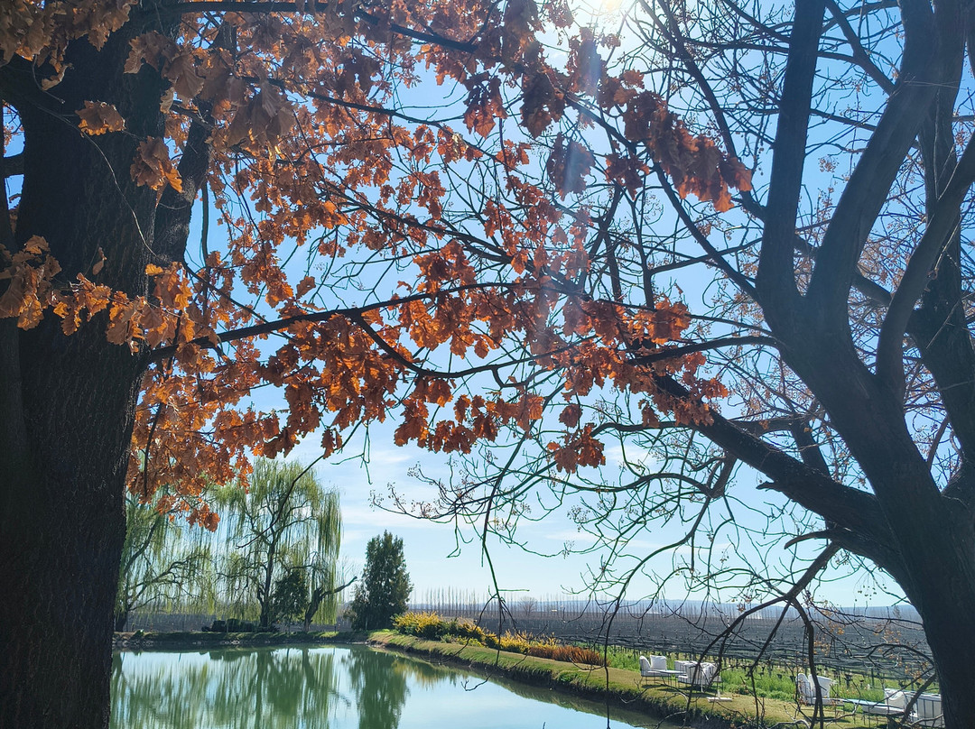 Bodega Piattelli Agrelo, Mendoza-阿格雷洛必去景点