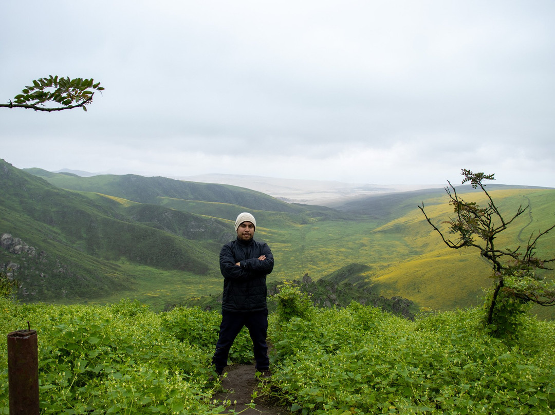 Reserva Nacional Lomas de Lachay-Huaral必去景点