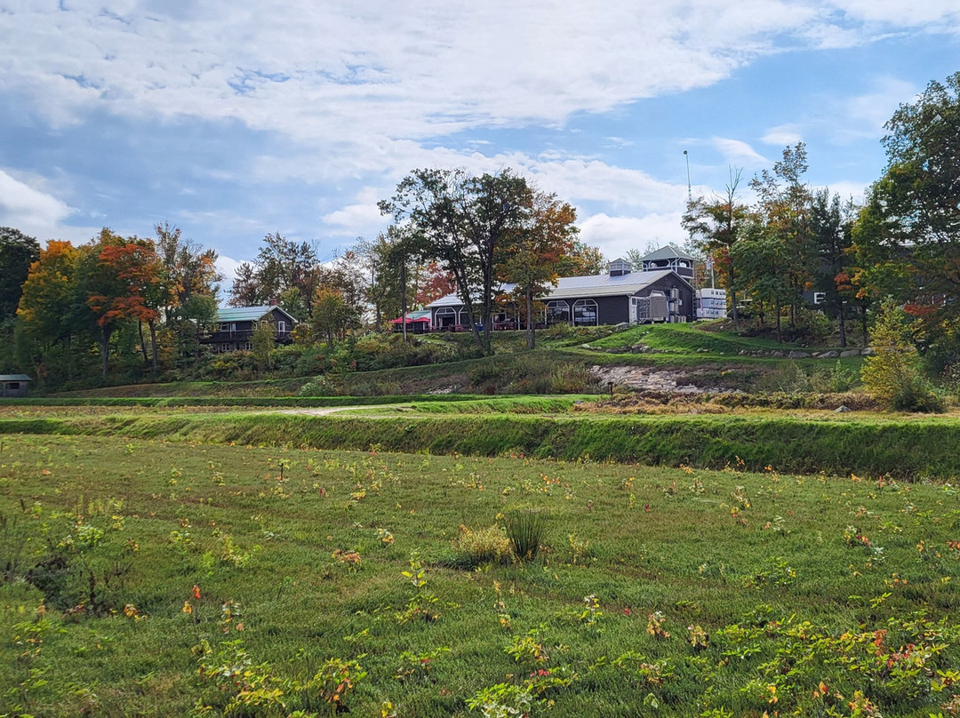 Johnston's Cranberry Marsh & Muskoka Lakes Winery-Bala必去景点