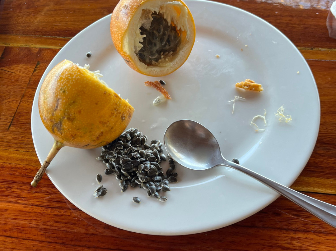 Rancho Armadillo Estate主图