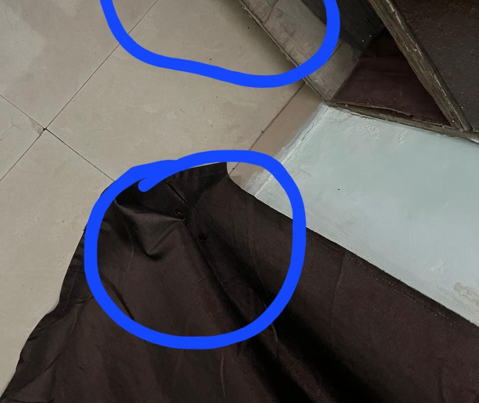 Star Inn Resort主图