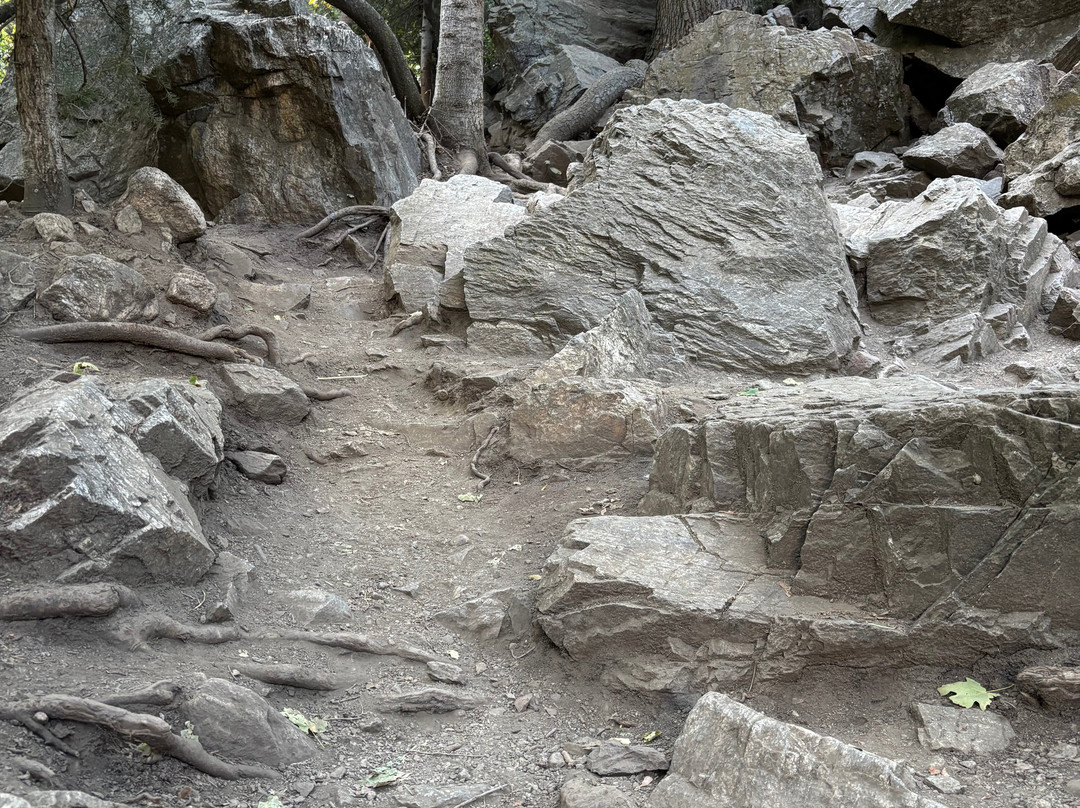 Adams Canyon Trail-莱顿必去景点