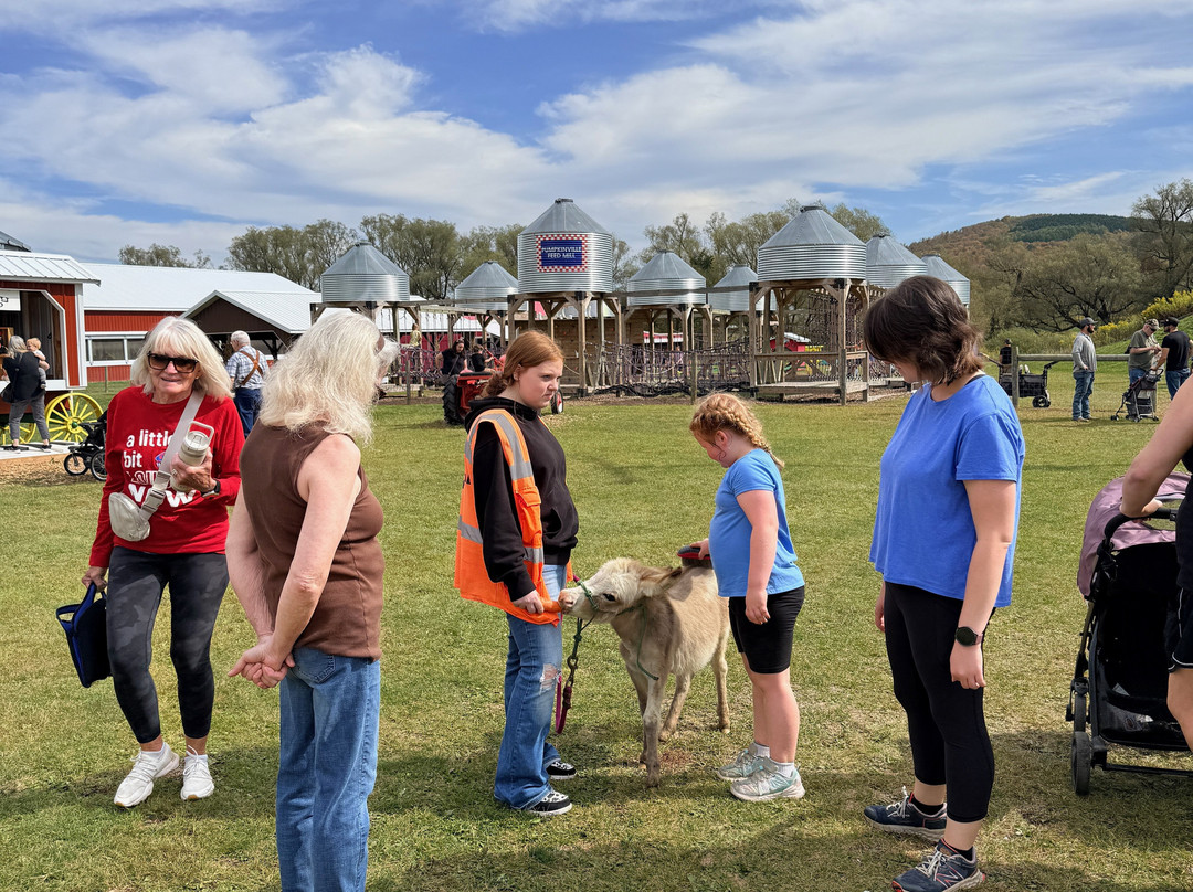 Pumpkinville-Great Valley必去景点