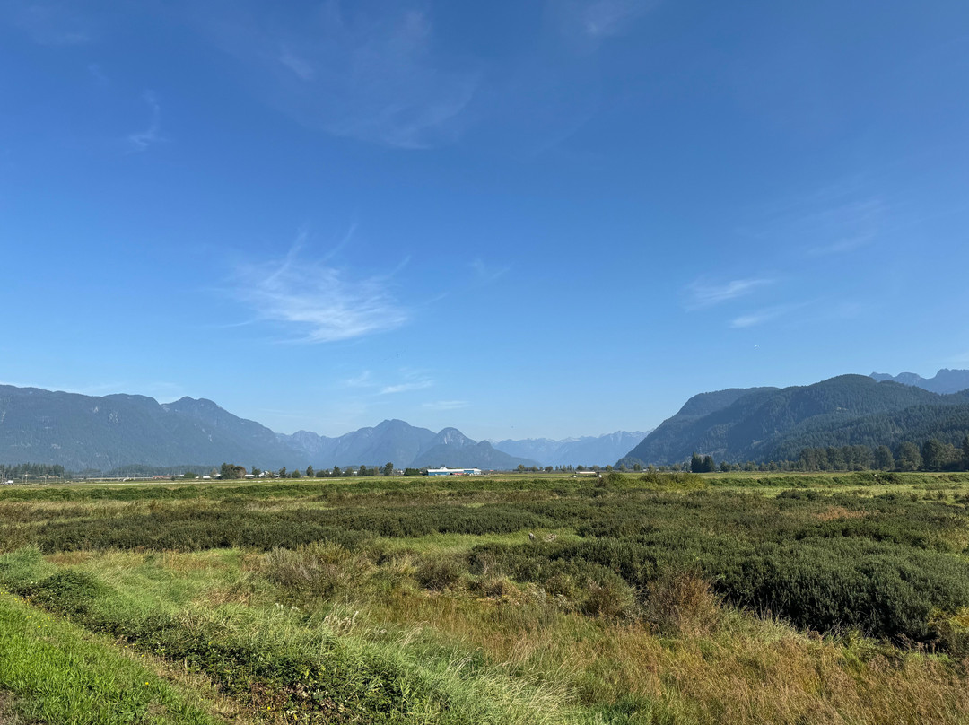 Leghorn Ranch-匹特草原必去景点