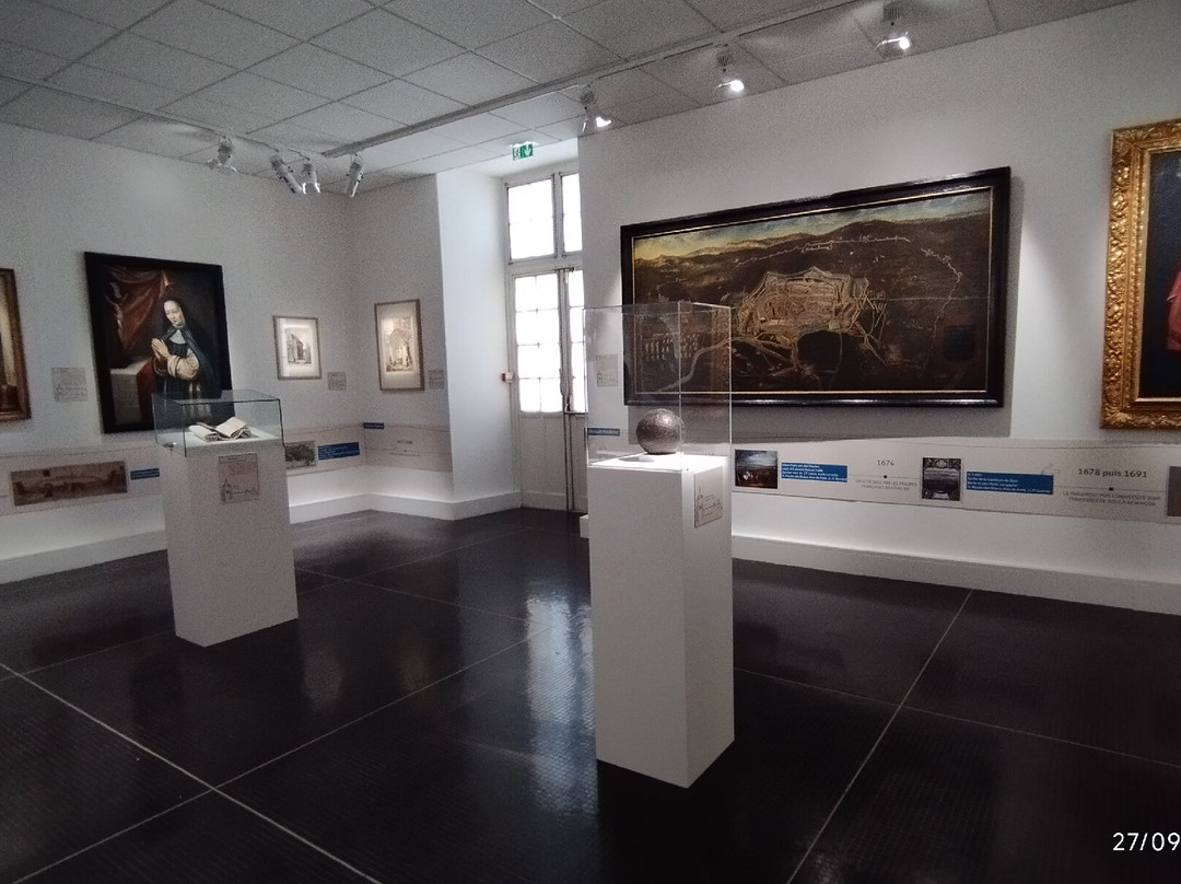 Musee des Beaux-Arts de Dole-多勒必去景点