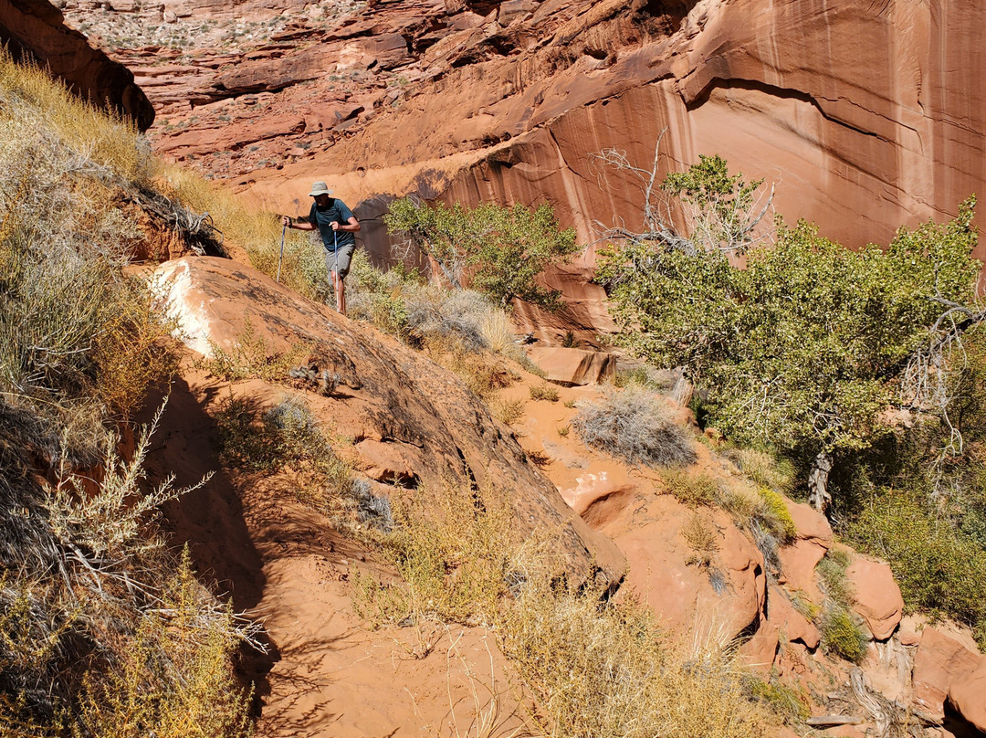 Coyote Gulch-埃斯卡兰特必去景点