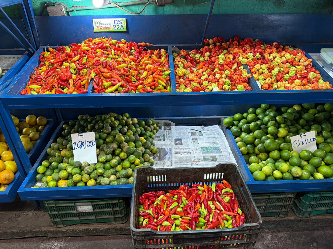 ILT Costa Rica-圣何塞必去景点