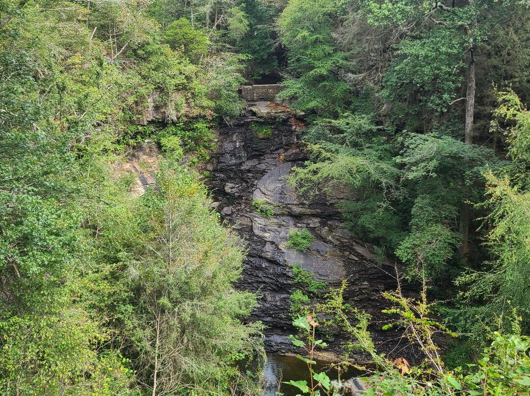 Pisgah Gorge Falls-Pisgah必去景点