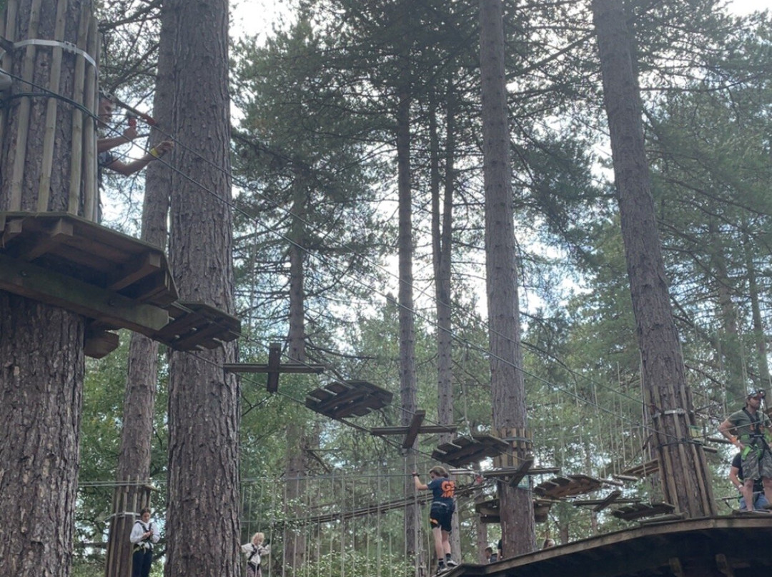 Go Ape Sherwood-Edwinstowe必去景点