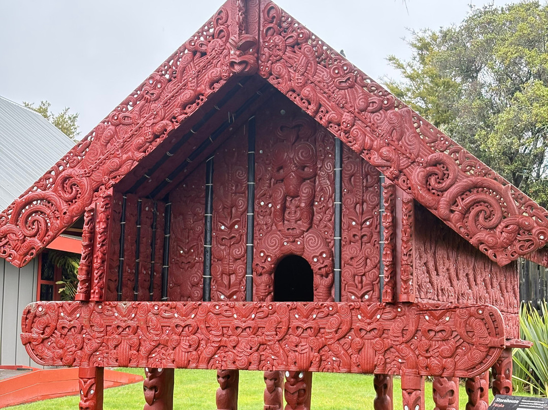 Amazing New Zealand Itineraries-奥克兰中心地区必去景点