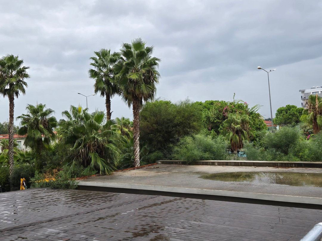 Seaden Sea World Resort & Spa主图