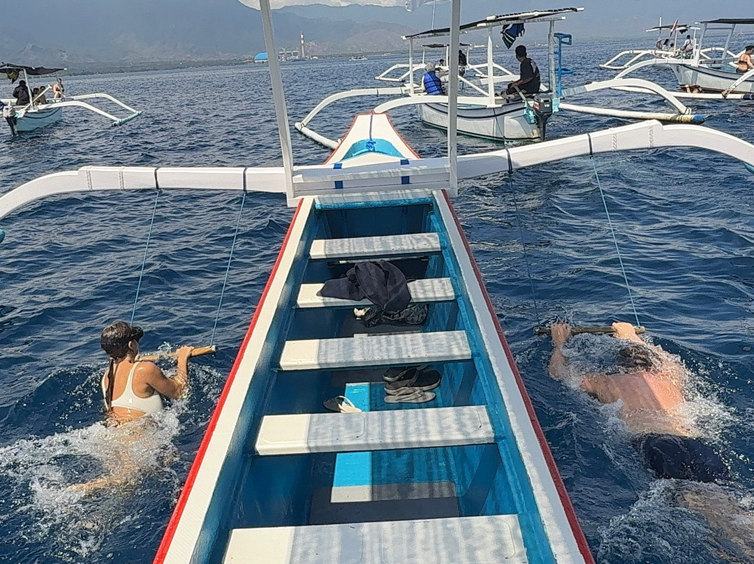 Dolphin Lovina tours-罗威那海滩必去景点