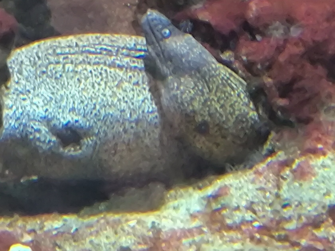 Aquarium Of Faliraki (Aquaworld)-Faliraki必去景点