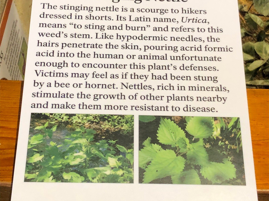 Point Reyes National Seashore-Point Reyes Station必去景点