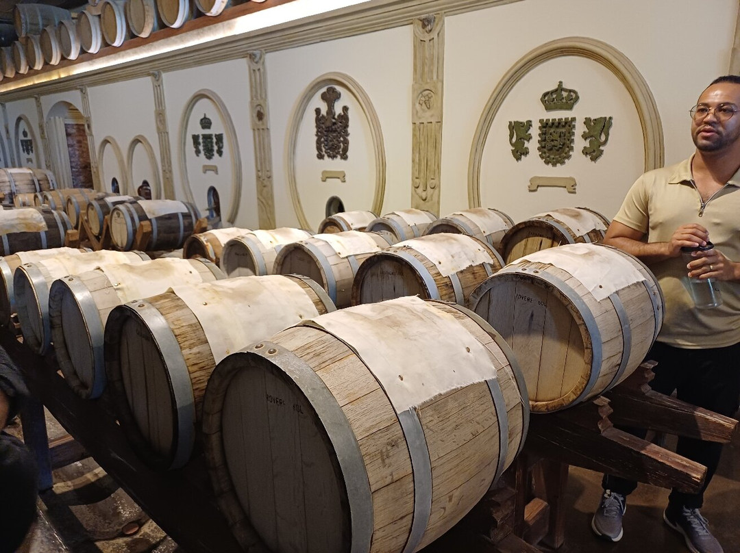 Olivicola Laur-Maipu必去景点