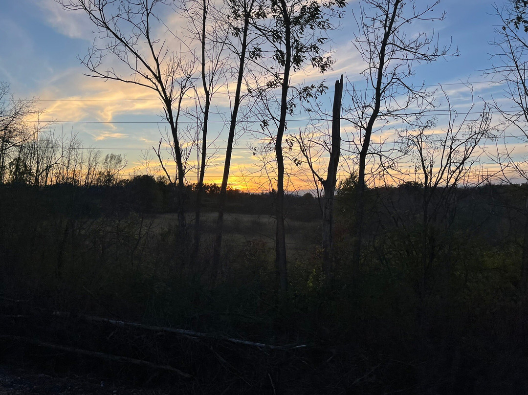 Champlain Valley Dinner Train-伯灵顿必去景点