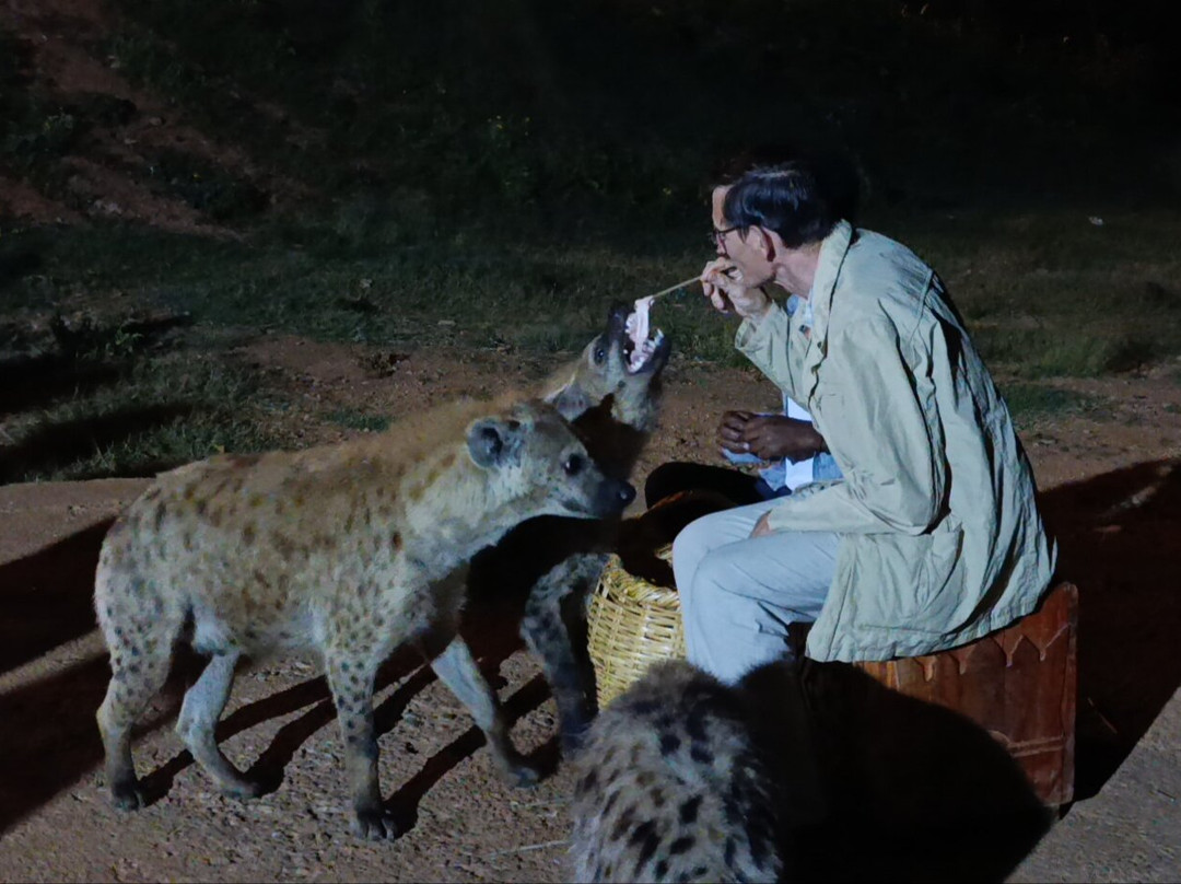 Ecotravel Ethiopia Tours and car rental-亚的斯亚贝巴必去景点