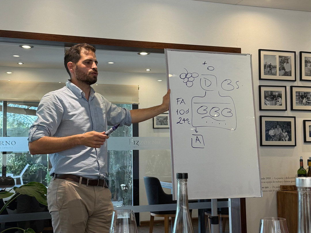 Pizzorno Family Estates-Canelones必去景点