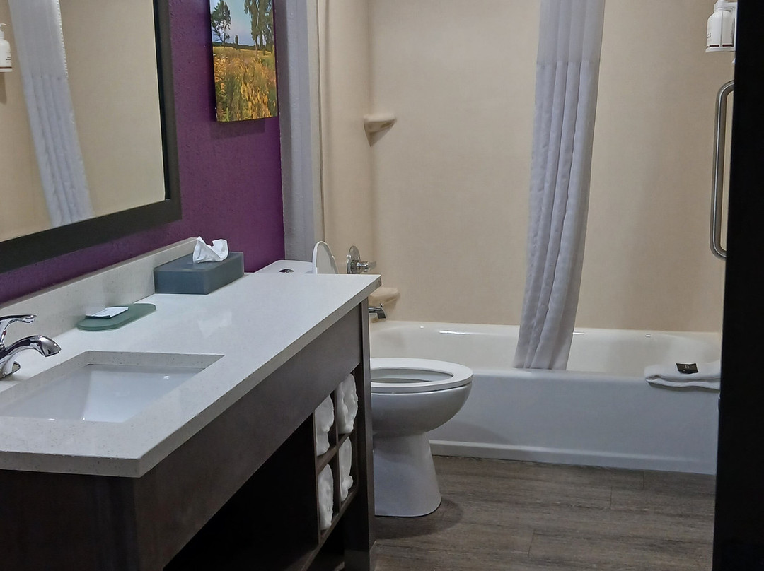 La Quinta Inn & Suites by Wyndham Effingham主图