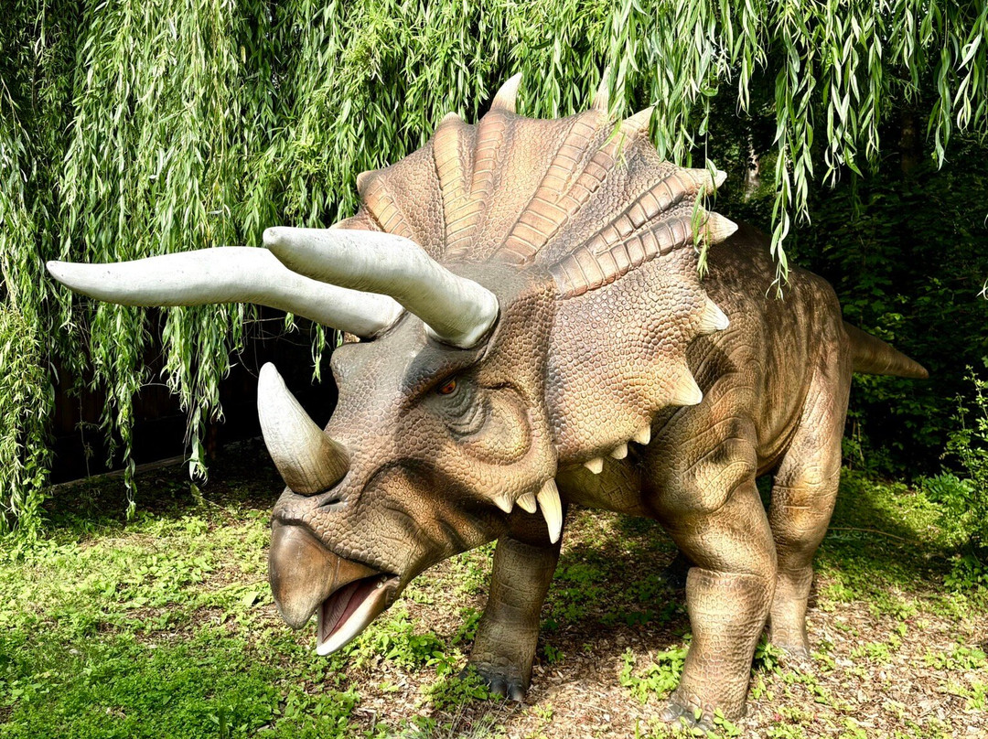 Serengeti-park Hodenhagen-Hodenhagen必去景点