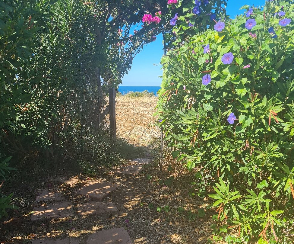 Akamanthea Holiday Village主图