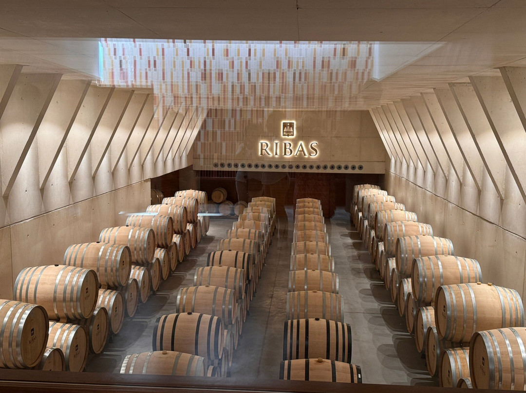 Bodega Ribas-Consell必去景点
