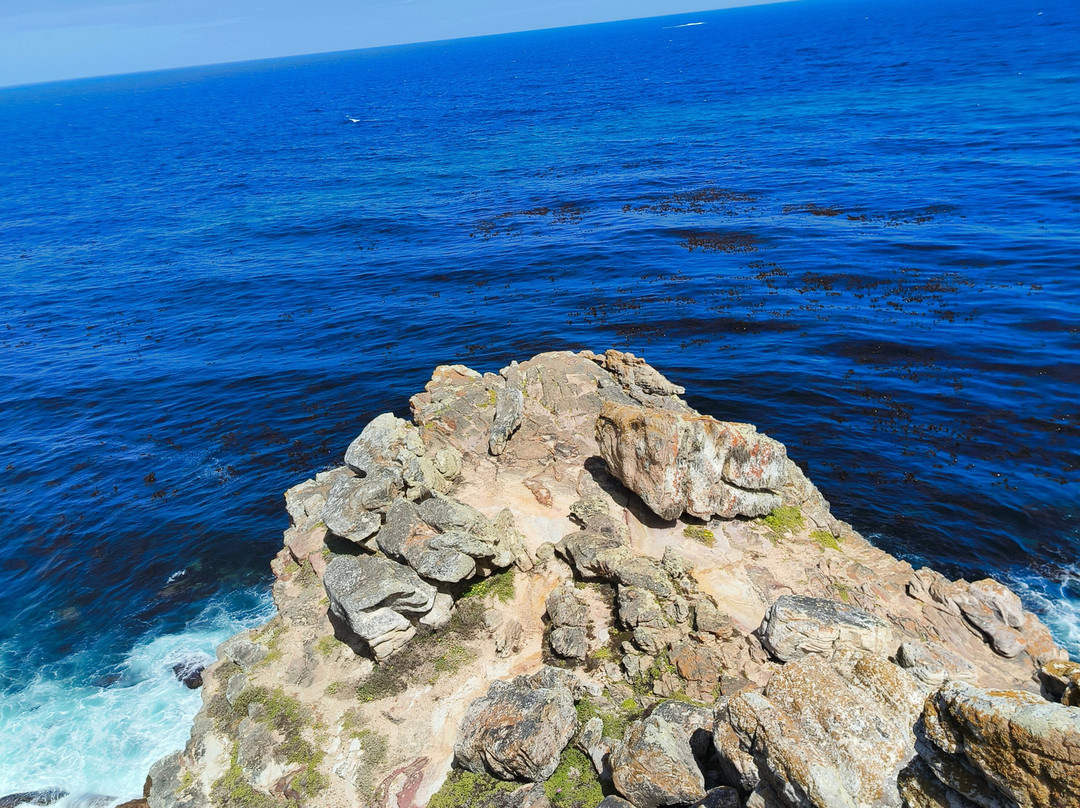 Cape Point-桌山国家公园必去景点