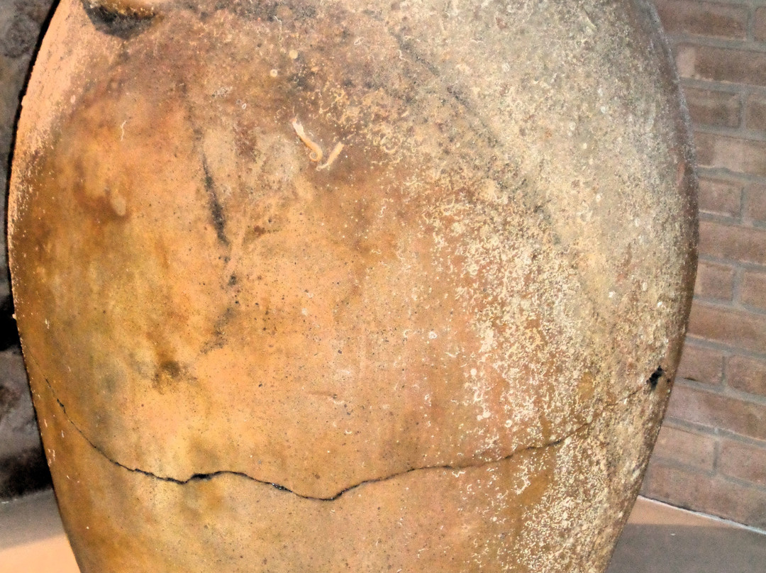 Museo Archeologico di Villasimius-维拉西谬斯必去景点